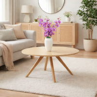 Table basse ronde en bois naturel de style scandinave intégrée dans un salon moderne et chaleureux avec décoration épurée