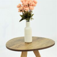 Table basse ovale en bois naturel avec pieds inclinés, présentée sur fond blanc dans un style scandinave minimaliste.