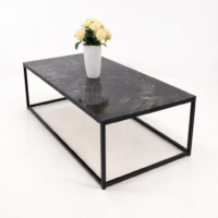 Table basse rectangulaire en métal noir avec plateau foncé, présentée sur fond blanc avec un vase décoratif, style moderne et minimaliste.