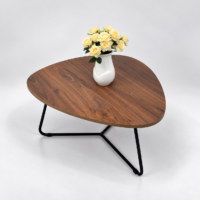 Table basse moderne en bois avec plateau aux formes arrondies et piètement métallique noir dans un décor élégant
