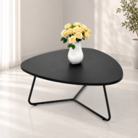 Table basse noire moderne avec plateau arrondi et piètement métallique triangulaire