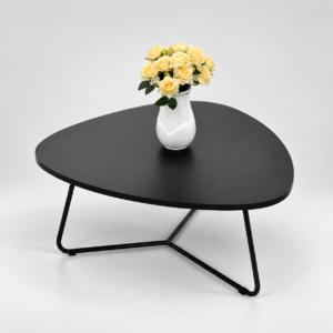Une table basse au design moderne et élégant, idéale pour apporter une touche contemporaine à votre intérieur.
